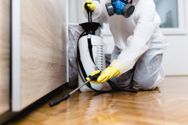 Best Pest Prevention Services  in Princeton, MO