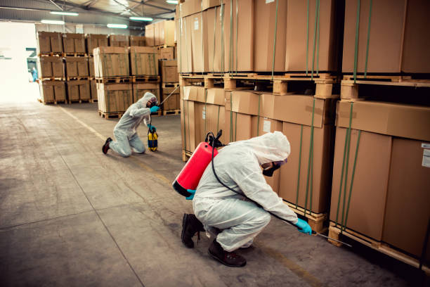 Best Local Pest Control Services  in Princeton, MO