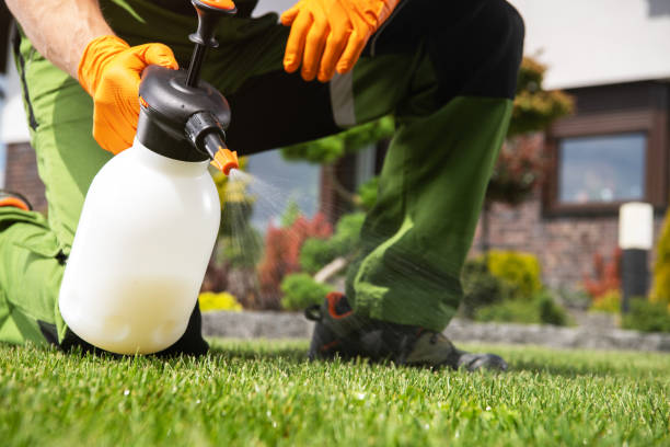 Wildlife Control Services in Princeton, MO