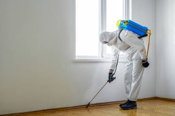 Reliable Princeton, MO Pest Control Solutions