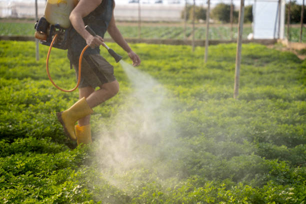 Best Pest Prevention Services  in Princeton, MO