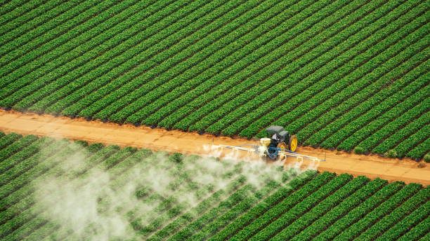 Best Pest Removal Services  in Princeton, MO