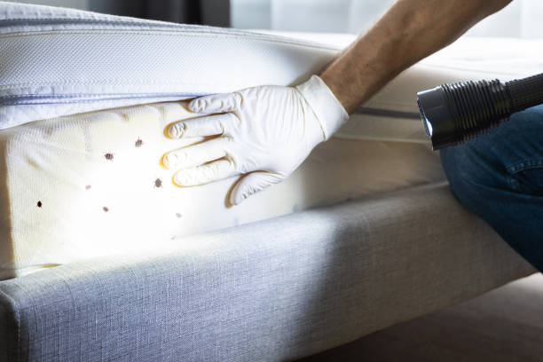 Best Affordable Pest Control Services  in Princeton, MO