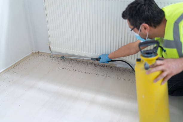 Best Exterminator Services  in Princeton, MO