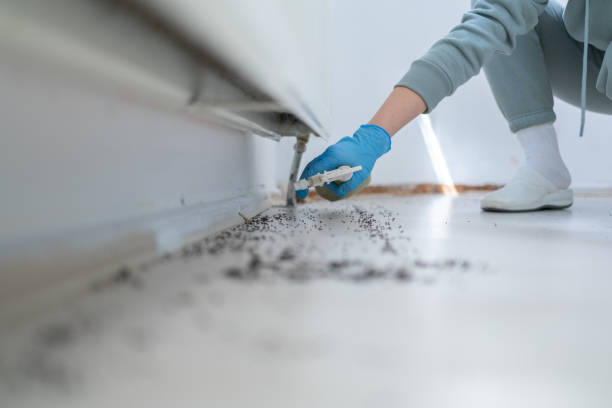 Pest Prevention Services in Princeton, MO