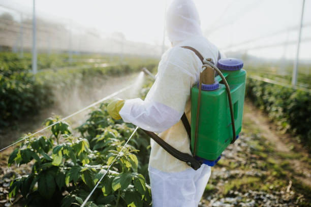 Best Bed Bug Extermination  in Princeton, MO